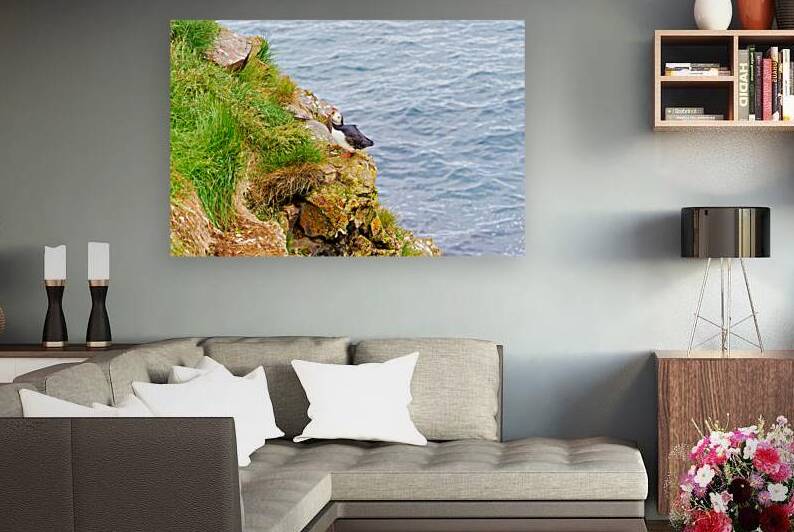 Puffin rests on rocky cliff near Borgarfjordur Eystri in Iceland by Marco Brivio