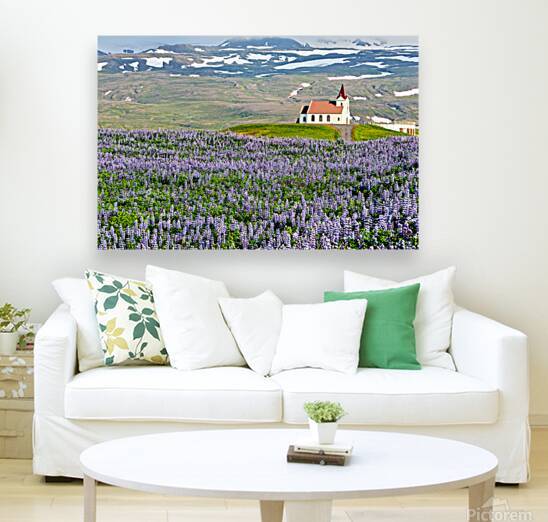 Ingjaldsoll church stands in a field of flowers in Iceland by Marco Brivio