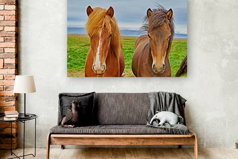 Wild horses in western fjords of Iceland under cloudy sky by Marco Brivio
