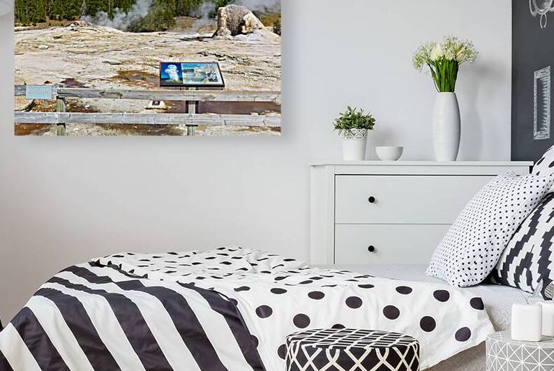 Giant Geyser erupts in Yellowstone National Park during daytime by Marco Brivio