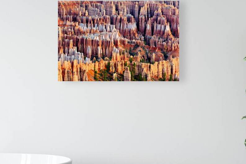 Views from bryce point in bryce canyon national park by Marco Brivio