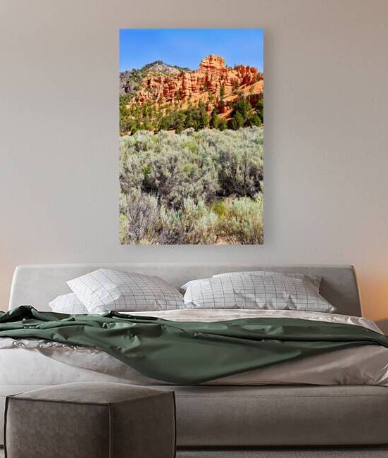 Visit Dixie National Forest in Utah with red rock formations by Marco Brivio