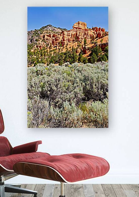 Visit Dixie National Forest in Utah with red rock formations by Marco Brivio