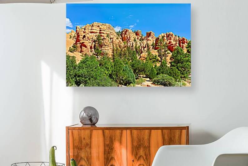 Scenes from Dixie National Forest in Utah during daytime by Marco Brivio