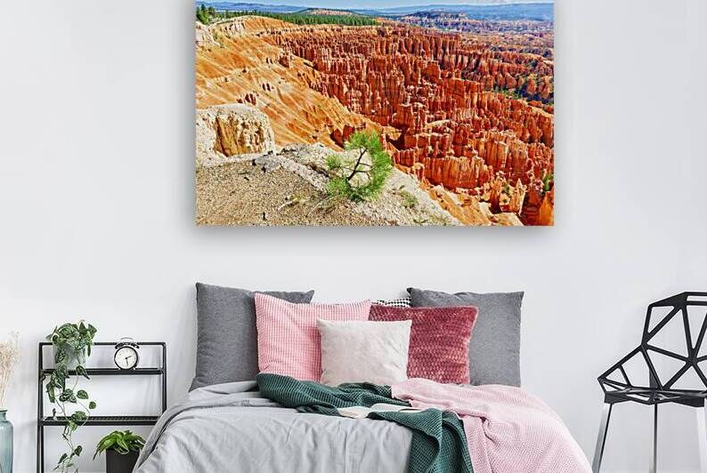 View from inspiration point at bryce canyon national park by Marco Brivio