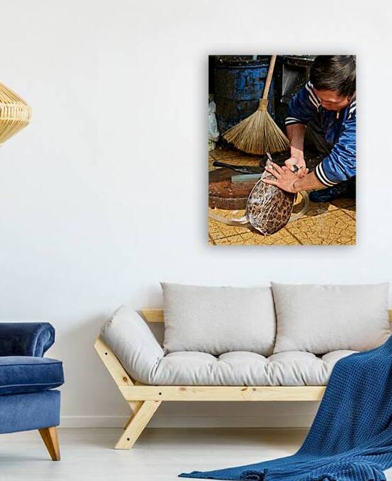 Man preparing turtle at market in Hanoi during daytime by Marco Brivio
