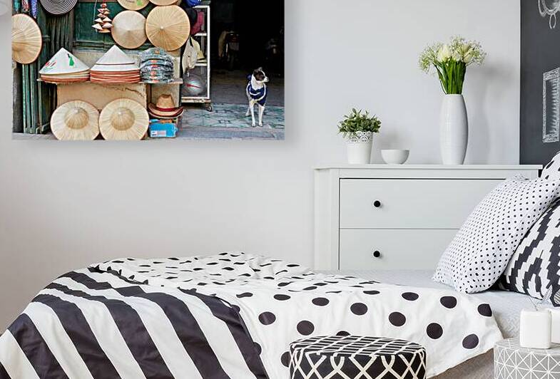 Crafts and a dog in Hanois streets showcase local culture by Marco Brivio