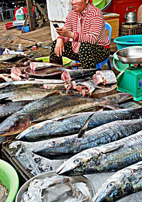 Fish market scene in Phu Quoc Vietnam during the day by Marco Brivio