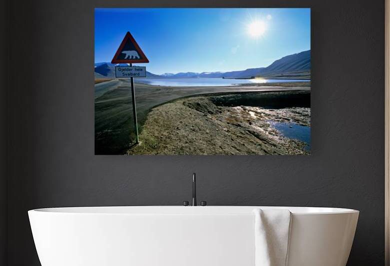 Warning signs in Longyearbyen Svalbard Archipelago Norway by Marco Brivio