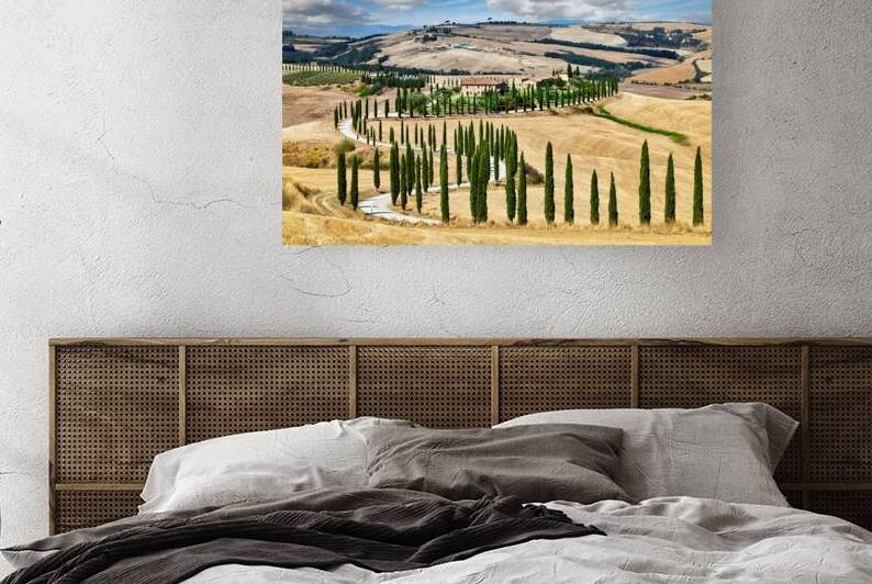 Cypress trees line winding road in Val dOrcia Tuscany by Marco Brivio