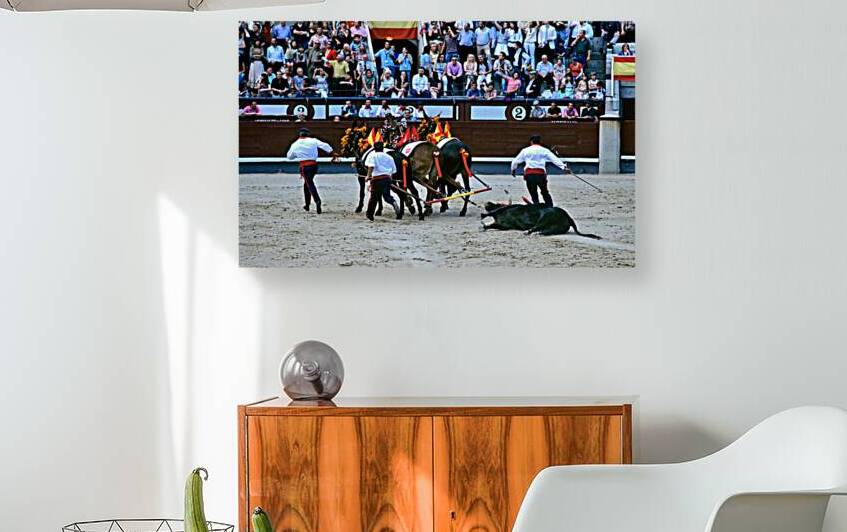 Bullfight in Madrid Spain with horses and bull in arena by Marco Brivio