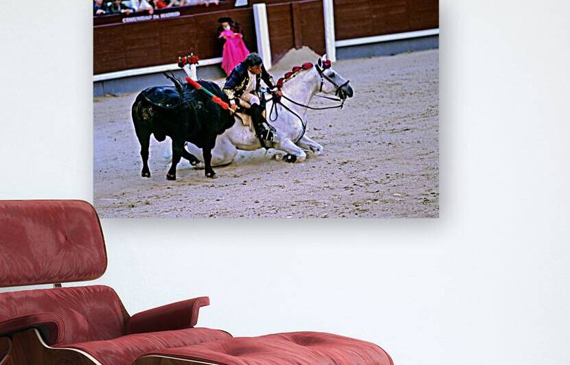 Bullfighter on horseback performs at Las Ventas in Madrid by Marco Brivio