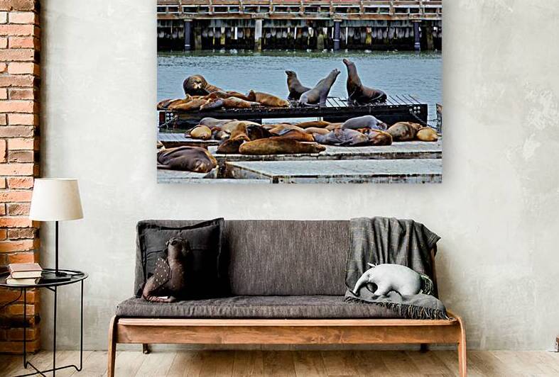 Sea lions relaxing at Pier 39 in San Francisco by Marco Brivio