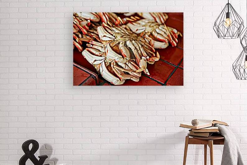 Dungeness crabs at Fishermans Wharf in San Francisco by Marco Brivio