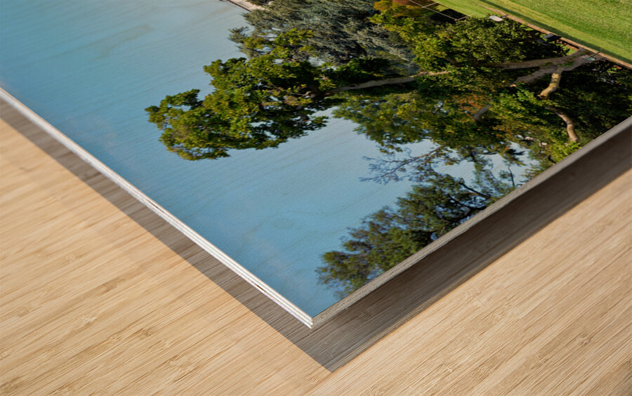 The White House. Washington D.C. Wood print