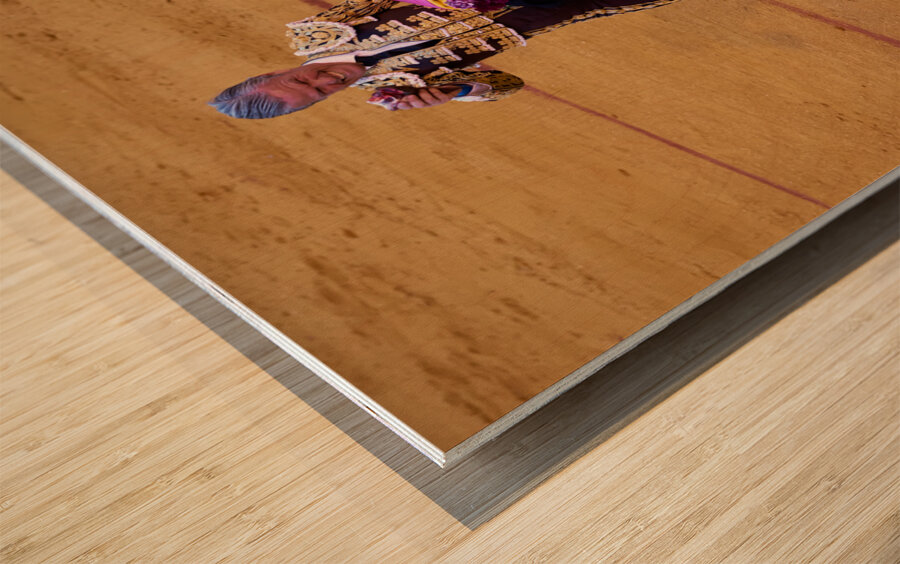 ANDALUSIA SPAIN. Bullfight in Seville Arena Wood print