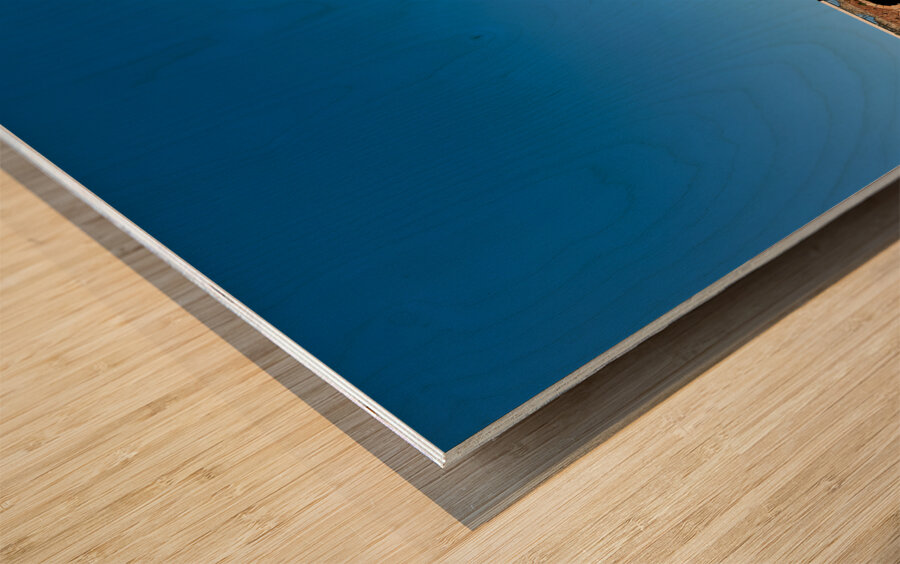 Verona Veneto Italy. The Verona Arena - Roman Amphitheatre and the Town Hall Wood print