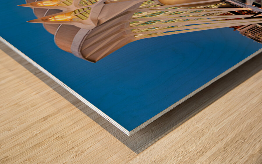 Visit to Museu de les Ciències Príncipe Felipe in Valencia Spa Wood print