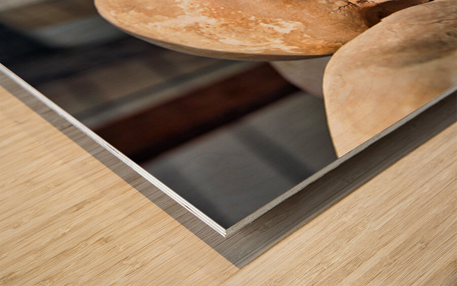 Multiple human skulls on display. Wood print