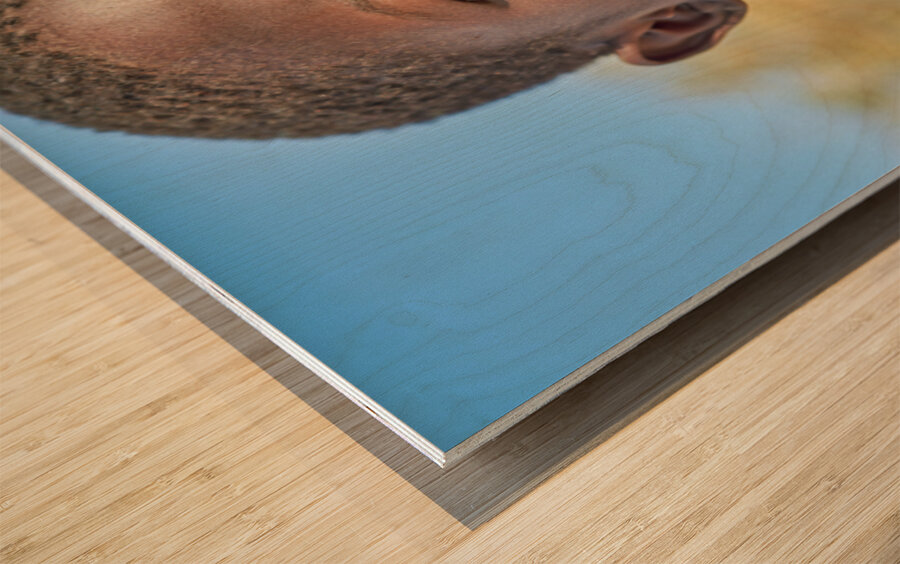 Children showing expressions in Palmwag Kunene Region Damaraland Wood print