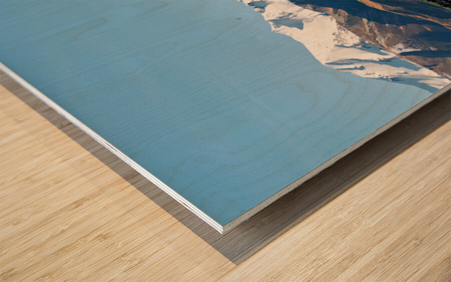 Cattles grazing in the countryside of New Zealand Southern Alps Wood print