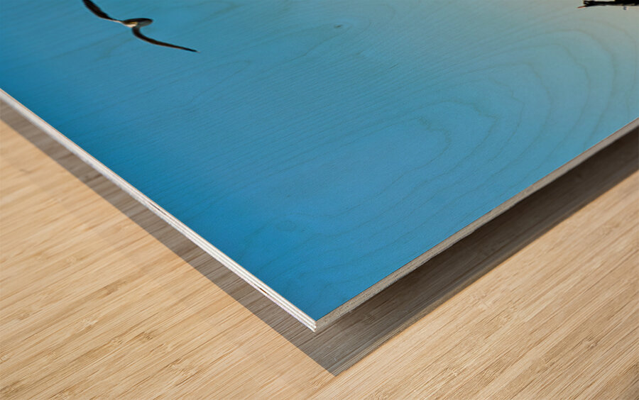 Tourists travel to Liberty Island by ferry in Manhattan New Yor Wood print