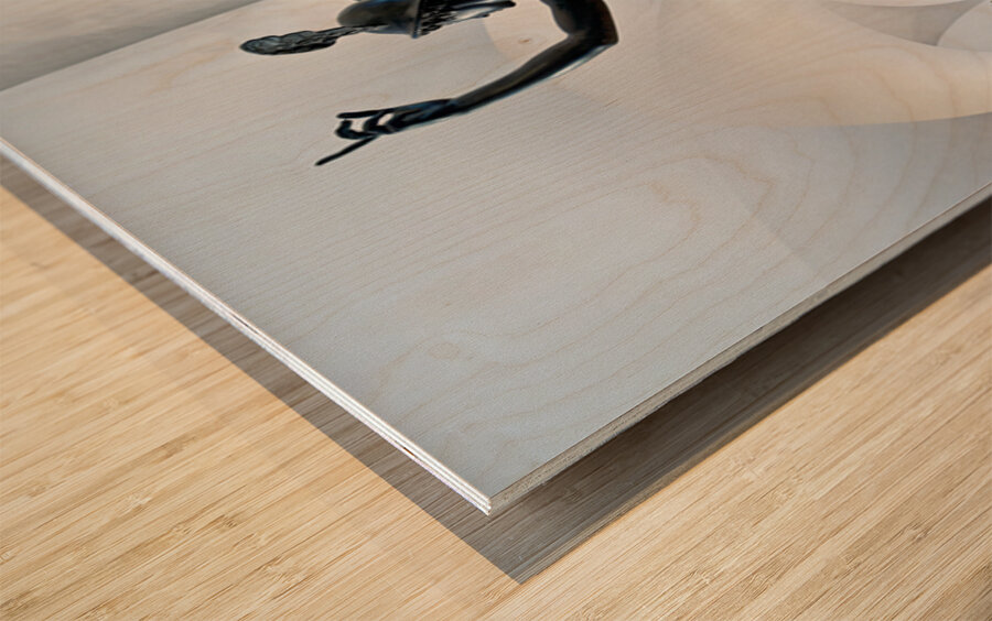 Sculptures at Museo Nazionale del Bargello in Florence Italy Wood print