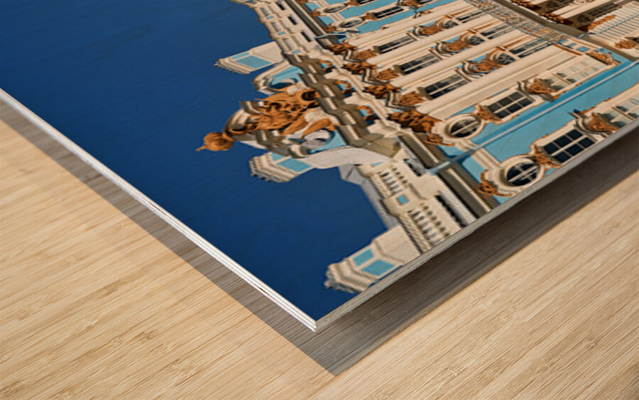 Catherine palace in pushkin saint petersburg russia Wood print