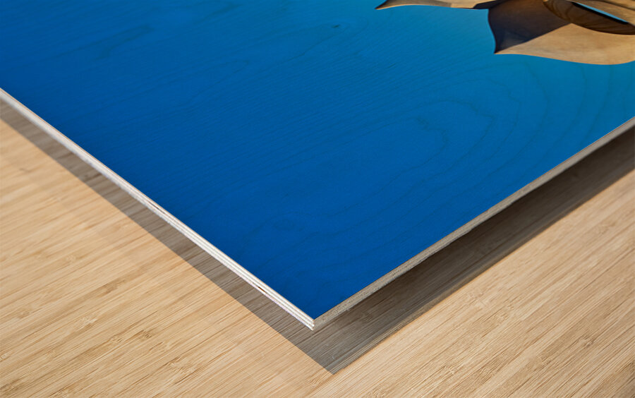 Visit Casa Mila in Barcelona a work by Gaudi Wood print