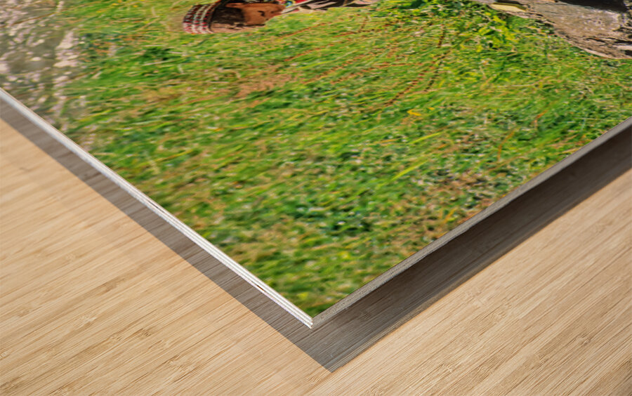 Life in Kalash Village in Bumburet Valley with river scene Wood print