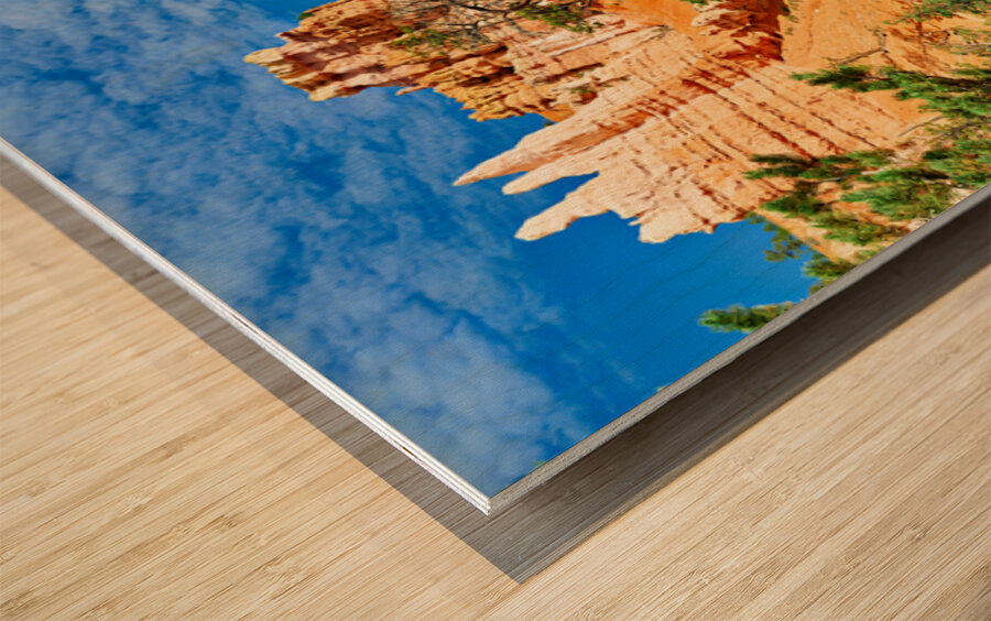 Exploring queens garden at bryce canyon national park Wood print