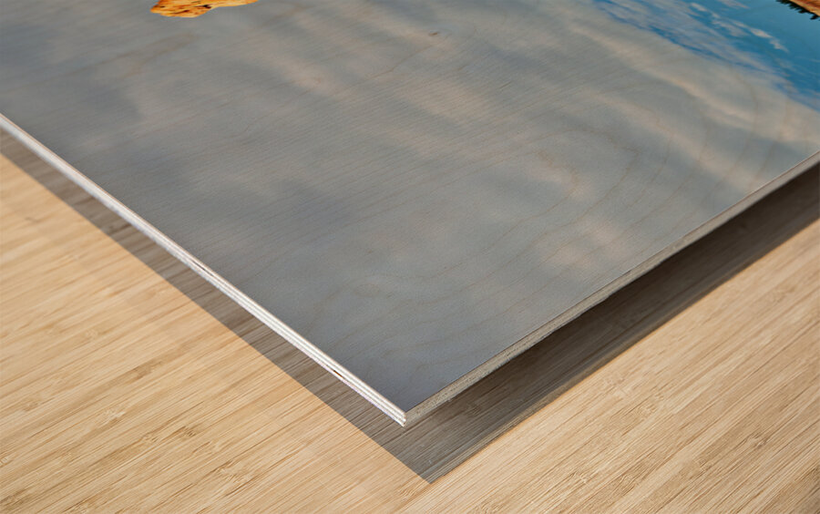 Visiting queens garden in bryce canyon national park Wood print