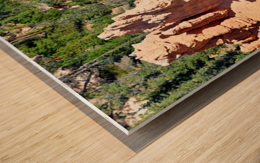 Bryce Point offers views of canyon rock formations Wood print