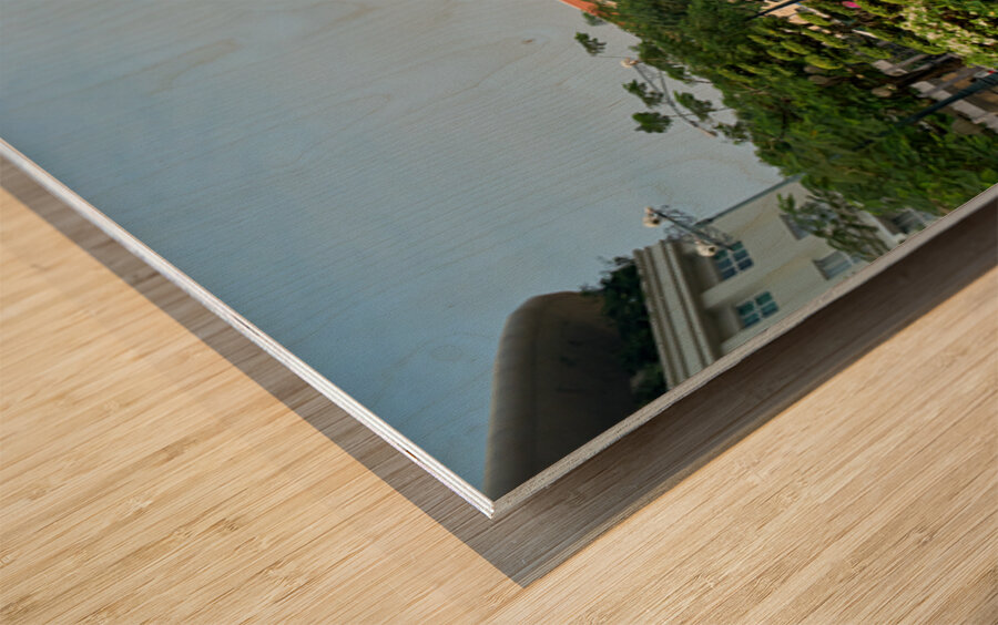 Ho Chi Minh City Hall and gardens in Saigon with statue Wood print