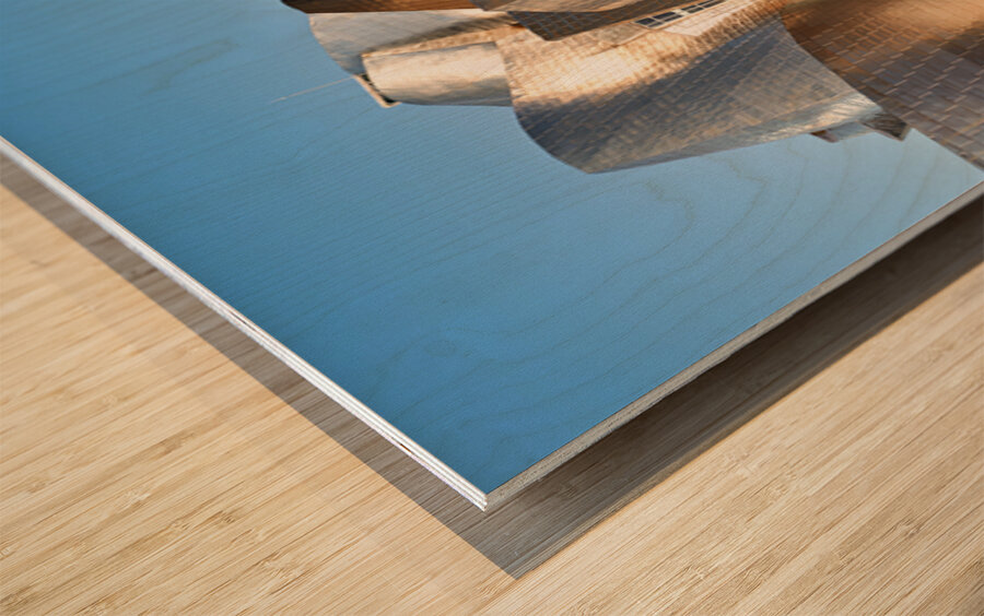 Exploring the design of the Guggenheim Museum in Bilbao Spain Wood print