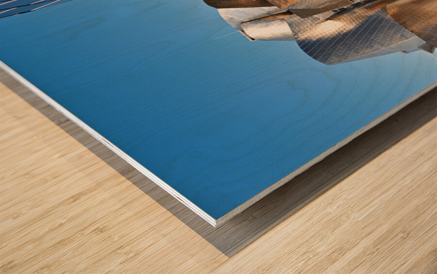 Guggenheim Museum in Bilbao Spain shows modern architecture Wood print