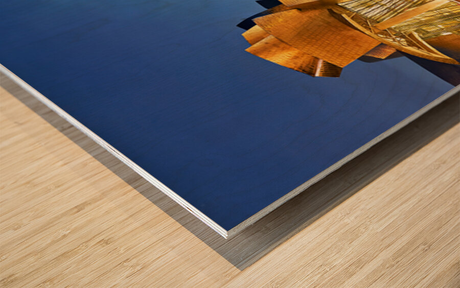 Guggenheim Museum and skyline of Bilbao at night Wood print