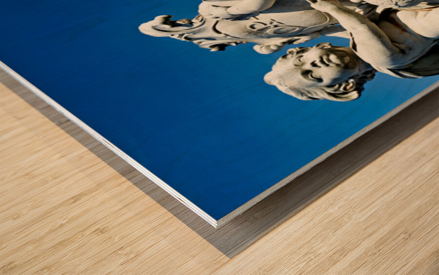 PISA 00020b Wood print