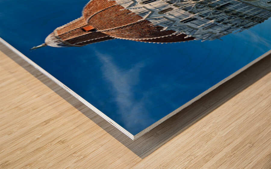 PISA 00001 Wood print