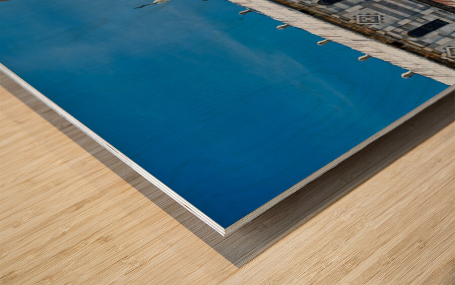 Visit to Piazza dei Miracoli in Pisa Tuscany Italy Wood print